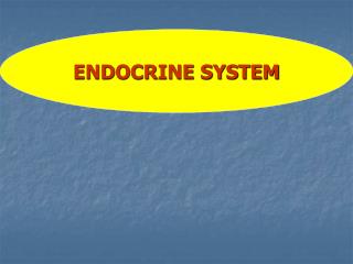 ENDOCRINE SYSTEM