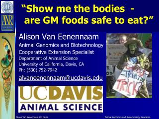 “Show me the bodies  - are GM foods safe to eat?”