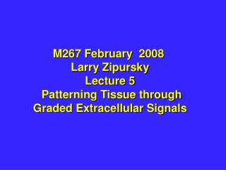 M267 February 2008 Larry Zipursky Lecture 5 Patterning Tissue through