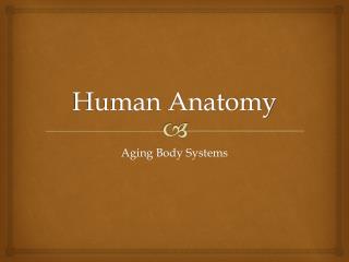 Human Anatomy