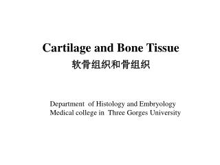 Cartilage and Bone Tissue 软骨组织和骨组织