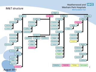 IM&amp;T structure