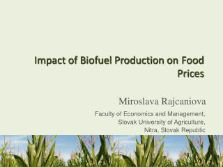 Impact of Biofuel Production on Food Prices