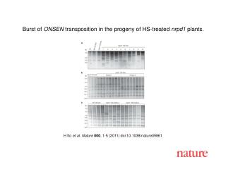 H Ito et al. Nature 000 , 1-5 (2011) doi:10.1038/nature09861