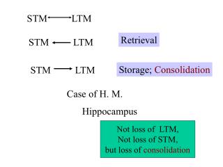 STM		LTM