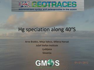 Hg speciation along 40°S