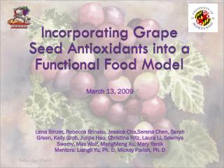 Incorporating Grape Seed Antioxidants into a Functional Food Model
