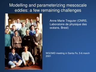 Modelling and parameterizing mesoscale eddies: a few remaining challenges