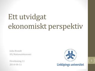Ett utvidgat ekonomiskt perspektiv
