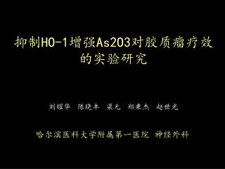 抑制 HO-1 增强 As2O3 对胶质瘤疗效的实验研究