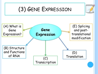 (3) Gene Expression