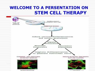 WELCOME TO A PERSENTATION ON STEM CELL THERAPY