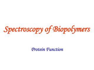 Spectroscopy of Biopolymers