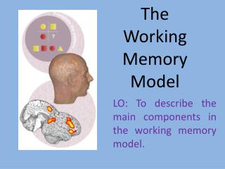 The Working Memory Model