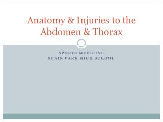 Anatomy &amp; Injuries to the Abdomen &amp; Thorax