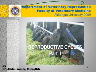 Department of Veterinary Reproduction Faculty of Veterinary Medicine Airlangga University 2009