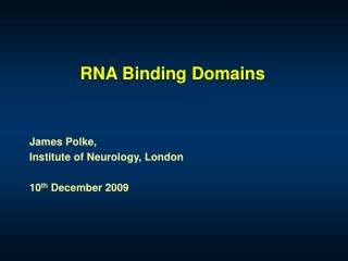 RNA Binding Domains