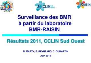 Surveillance des BMR à partir du laboratoire BMR-RAISIN