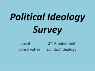 Political Ideology Survey