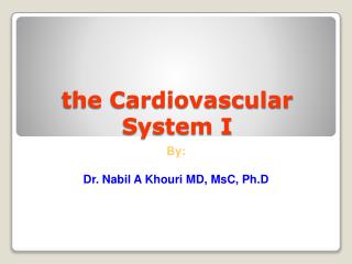 the Cardiovascular System I