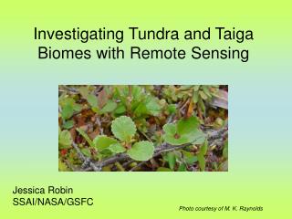 Investigating Tundra and Taiga Biomes with Remote Sensing