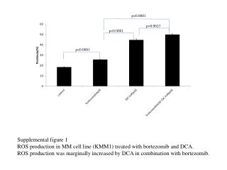 Supplemental figure 1 ROS production in MM cell line (KMM1) treated with bortezomib and DCA.