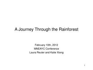 A Journey Through the Rainforest