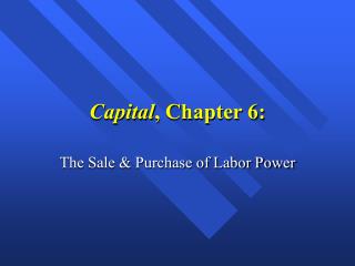 Capital , Chapter 6: