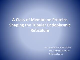 A Class of Membrane Proteins Shaping the Tubular Endoplasmic Reticulum