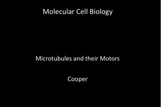 Molecular Cell Biology