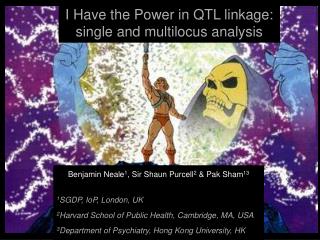 I Have the Power in QTL linkage: single and multilocus analysis