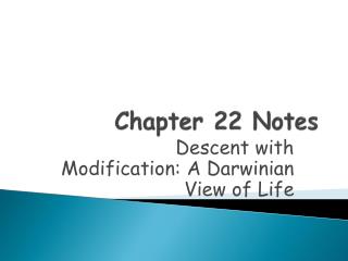 Chapter 22 Notes