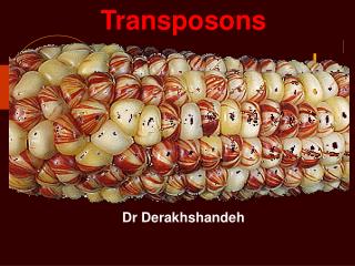 Transposons