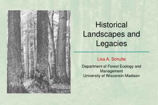 Historical Landscapes and Legacies