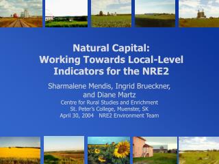 Natural Capital: Working Towards Local-Level Indicators for the NRE2