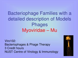 Bacteriophage Families with a detailed description of Models Phages Myoviridae – Mu