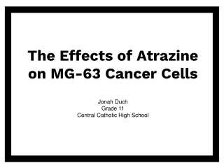 The Effects of Atrazine on MG-63 Cancer Cells