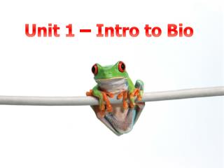 Unit 1 – Intro to Bio