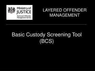Basic Custody Screening Tool (BCS)