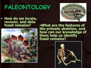 PALEONTOLOGY