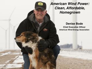 Denise Bode Chief Executive Officer American Wind Energy Association