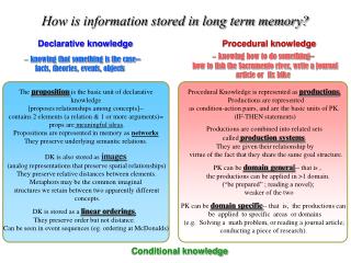 How is information stored in long term memory?