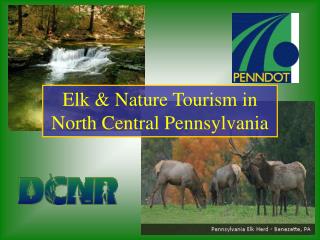 Elk &amp; Nature Tourism in North Central Pennsylvania