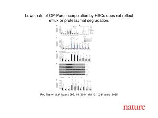 RAJ Signer et al. Nature 000 , 1-6 (2014) doi:10.1038/nature13035