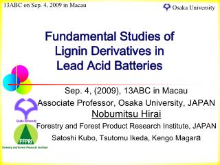 Fundamental Studies of Lignin Derivatives in Lead Acid Batteries