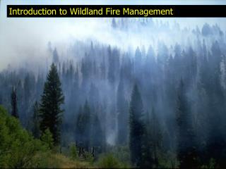 Introduction to Wildland Fire Management