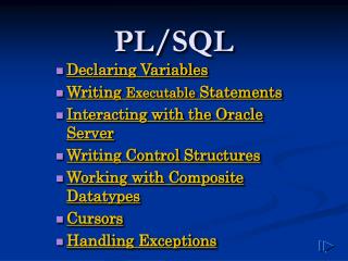 PL/SQL