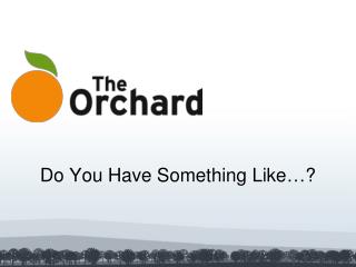 Do You Have Something Like…?