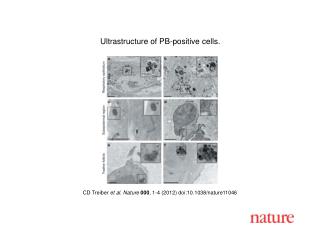 CD Treiber et al . Nature 000 , 1 - 4 (2012) doi:10.1038/nature11046