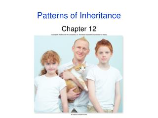 Patterns of Inheritance